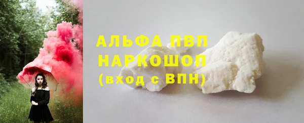 СК Заводоуковск