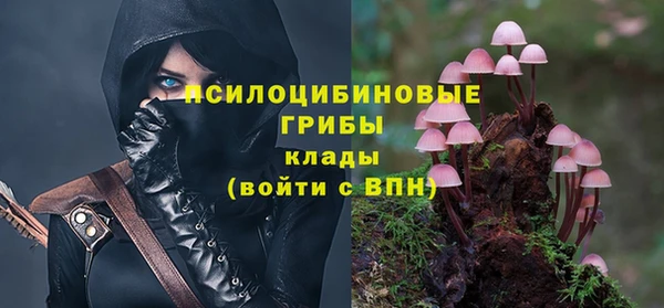 каннабис Алзамай