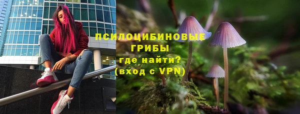 прущий лед Алексеевка