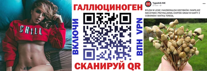 МЕГА как зайти  Далматово  Галлюциногенные грибы Magic Shrooms 